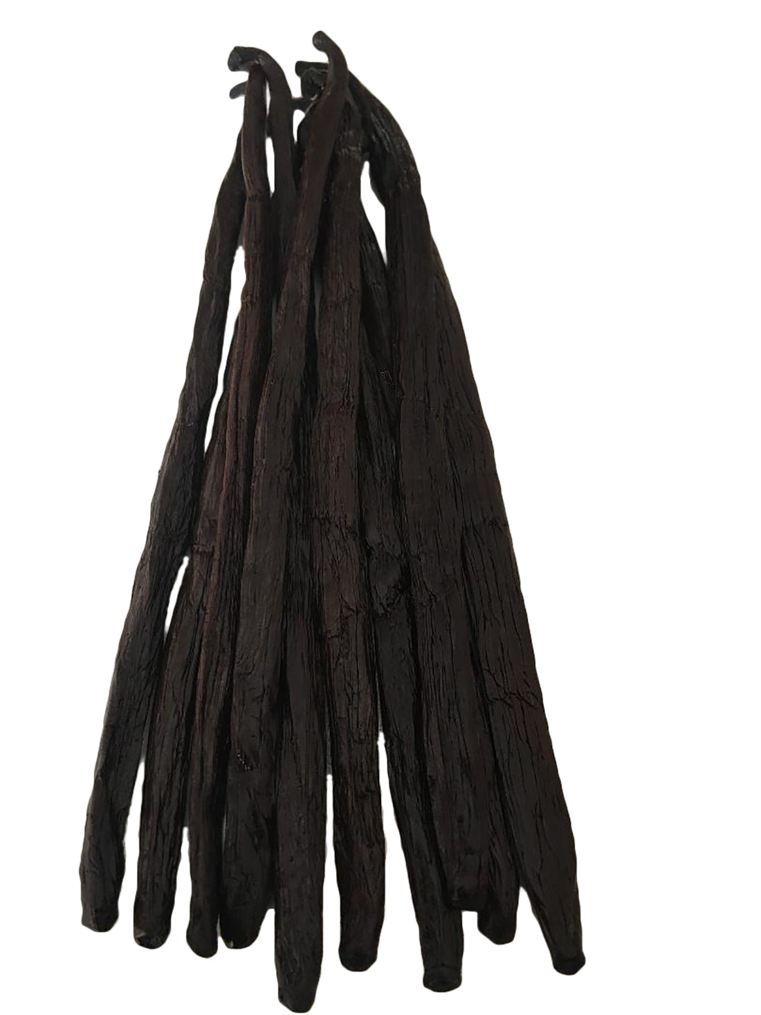 Organic Madagascar Vanilla Beans Grade A. Fresh Plump 6"-7" Certified USDA Organic Gourmet Pods (By Count)