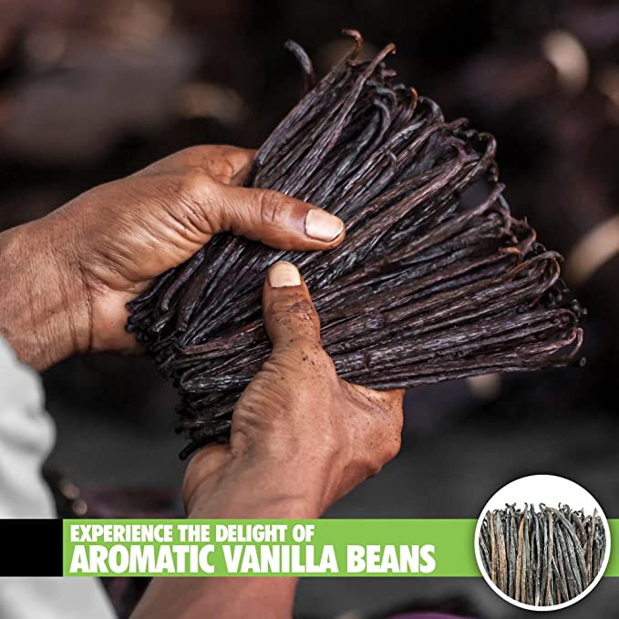 26 Extract Grade Organic Madagascar Vanilla Beans